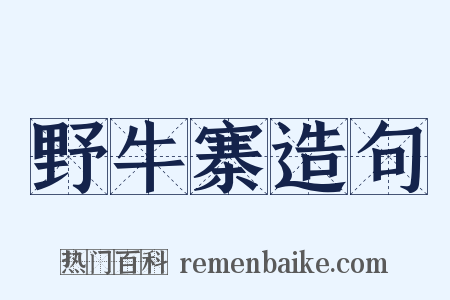 野牛寨造句是什么意思的图片